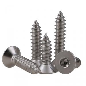 metric SS304 stainless steel hexagon socket countersunk head tapping screw 