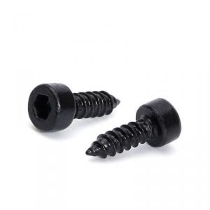 metric SS304 stainless steel black cylindrical head hexagon socket tapping screw 